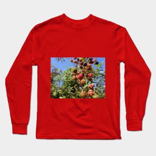 Anyone like blackberries? Long Sleeve T-Shirt